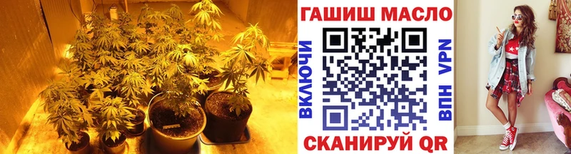 дарнет шоп  Шатура  ТГК жижа 