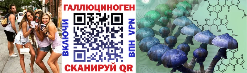 что такое наркотик  Шатура  Псилоцибиновые грибы Magic Shrooms 